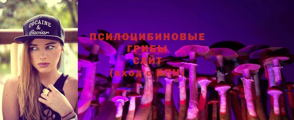 тгк Магадан
