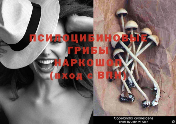 a pvp Медногорск