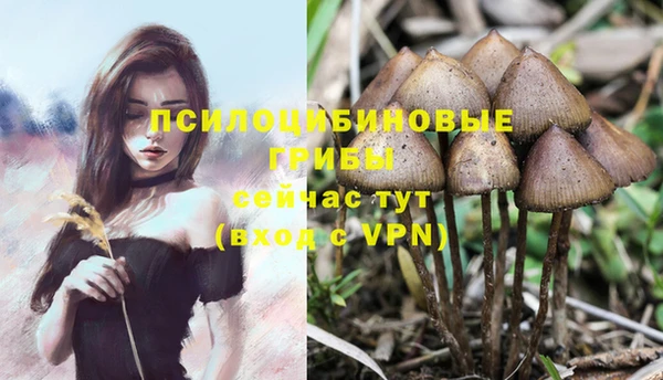 бутик Магас