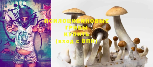 Альфа ПВП Майский